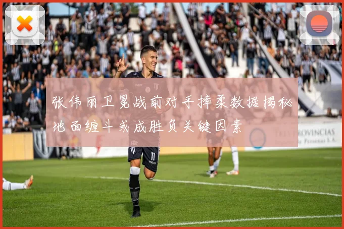 张伟丽卫冕战前对手摔柔数据揭秘地面缠斗或成胜负关键因素